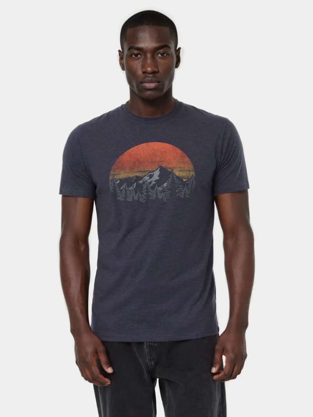 Tentree - Treeblend Vintage Sunset Graphic Tee | Gray Charcoal
